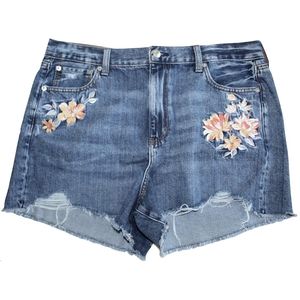 🌸NWT American Eagle Floral Embroidery Mom Shorts